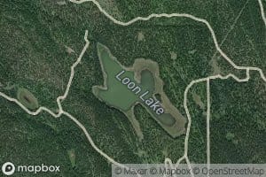 Loon Lake