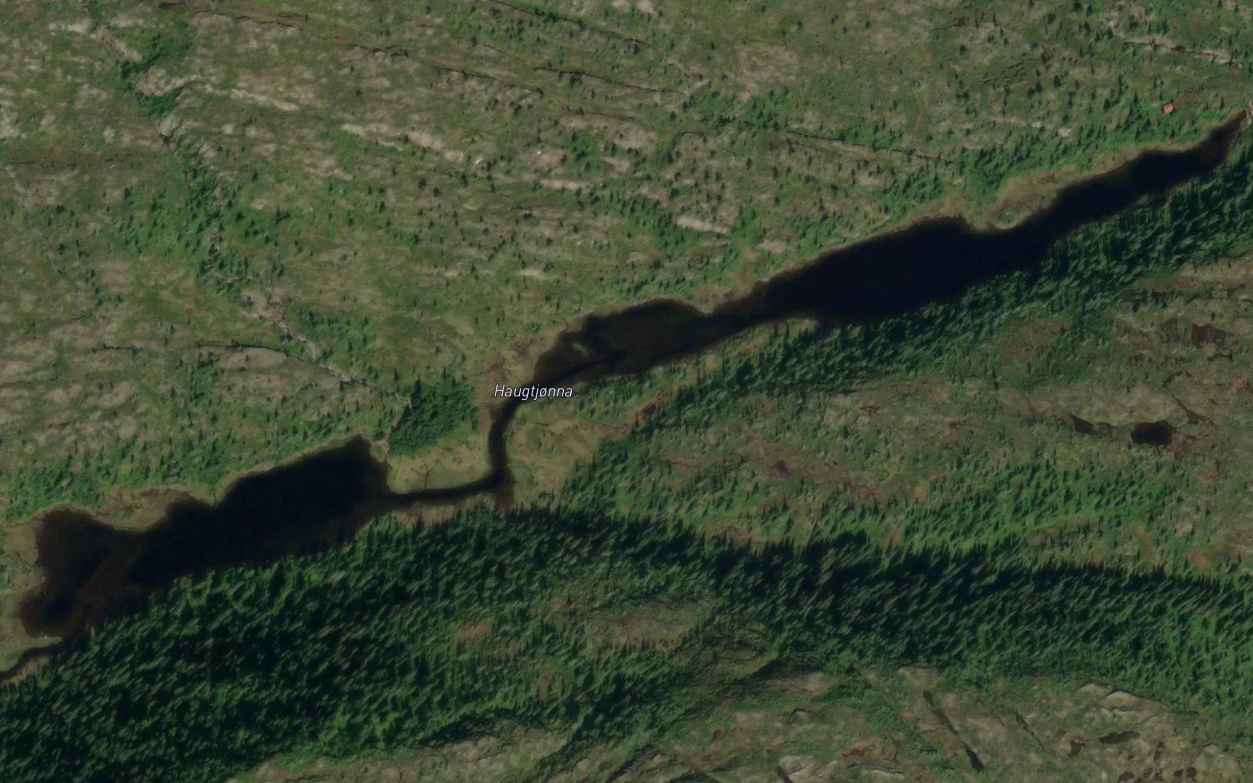 Haugtjorna