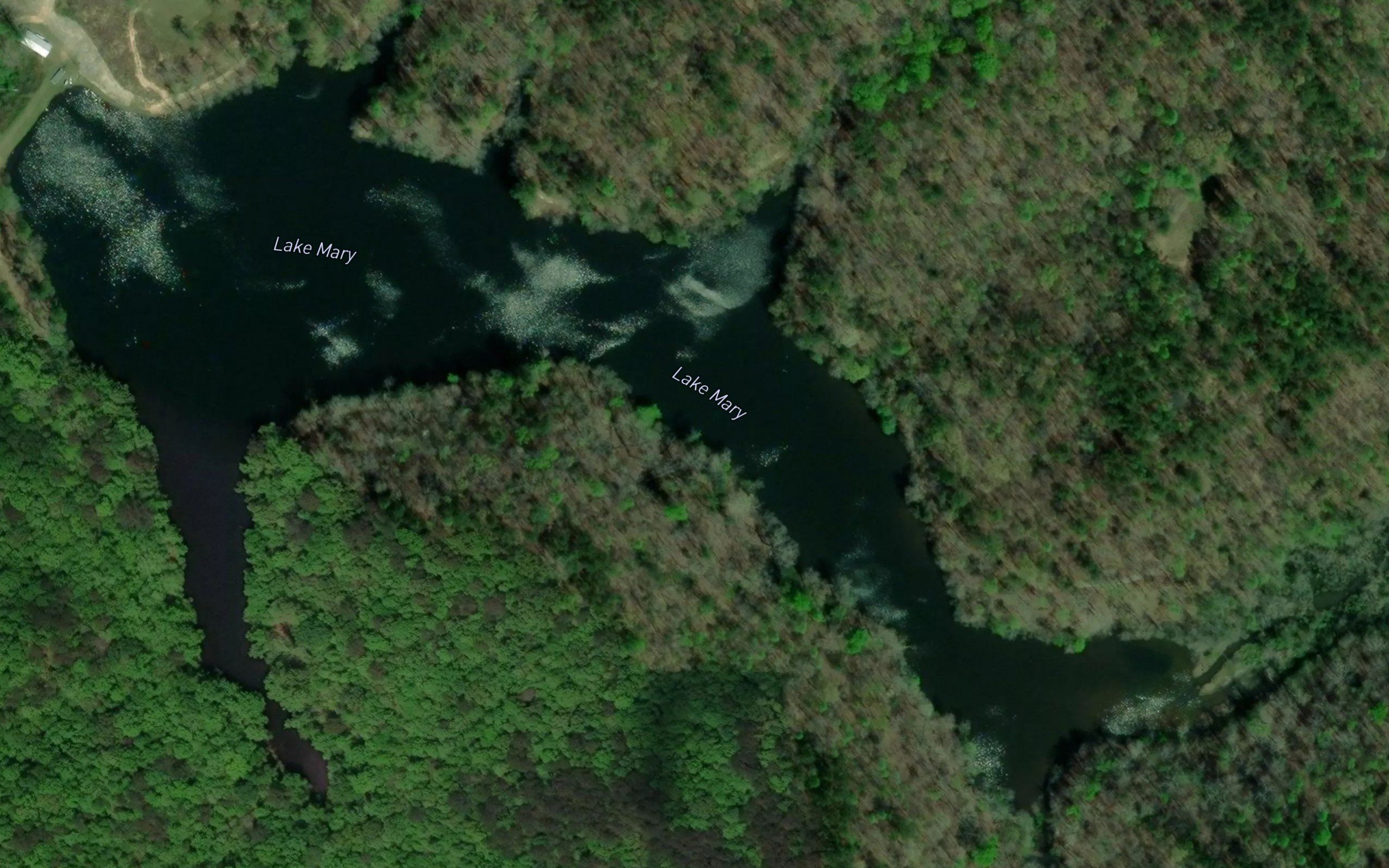 Lake Mary