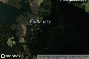 Endla Jarv