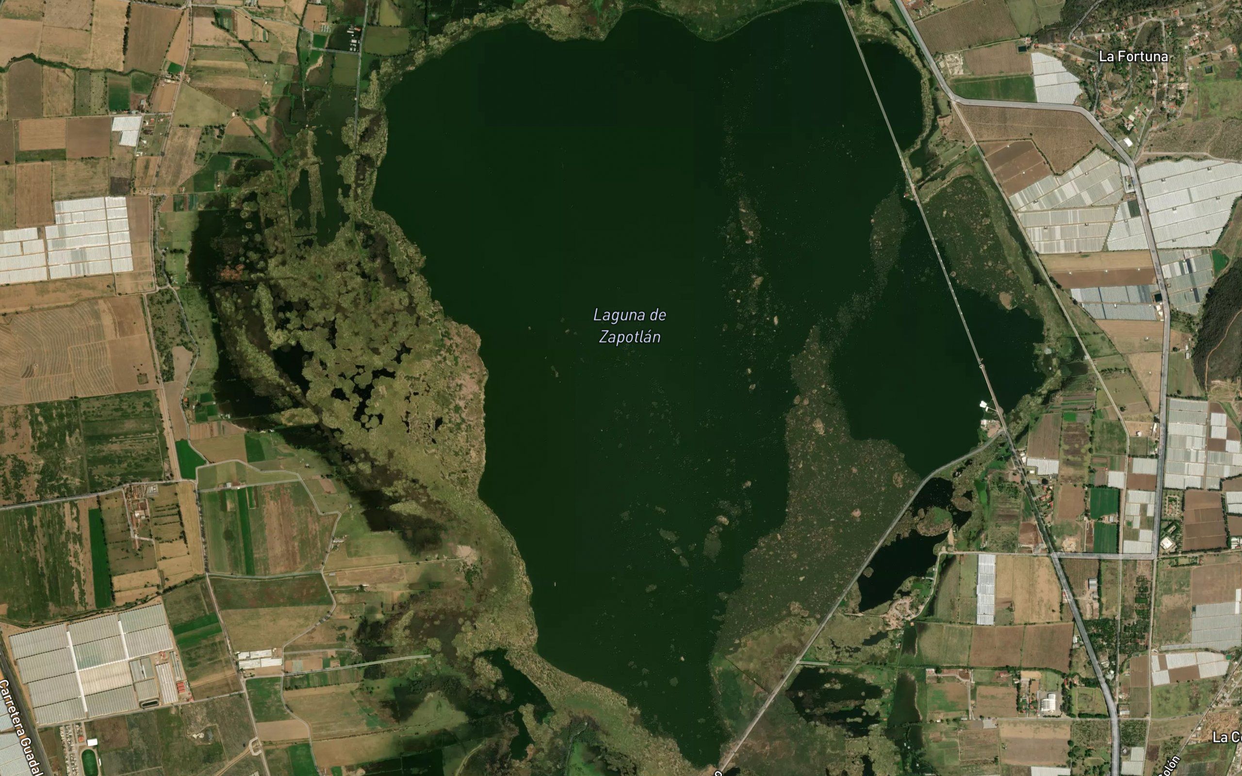 Laguna Zapotlan