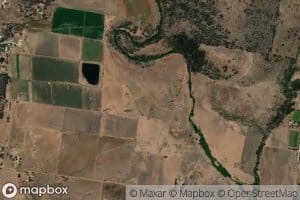 White Kangaroo Rivulet