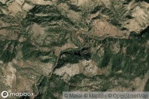 Bootlegger Trap Spring