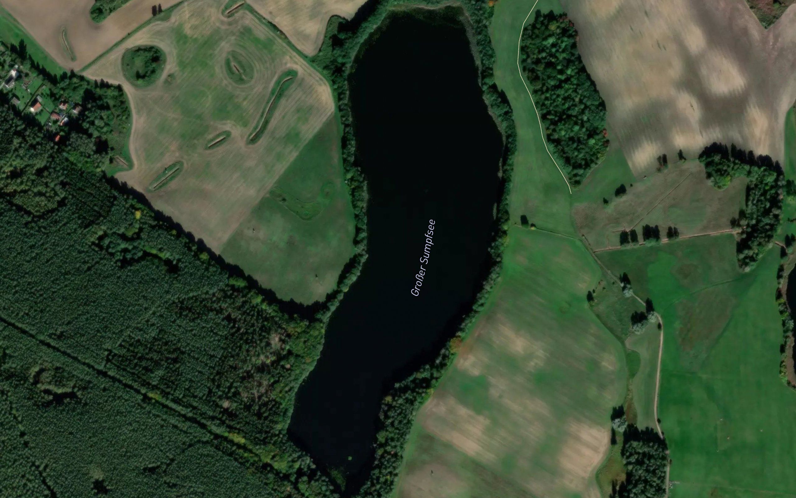 Grosser Sumpfsee