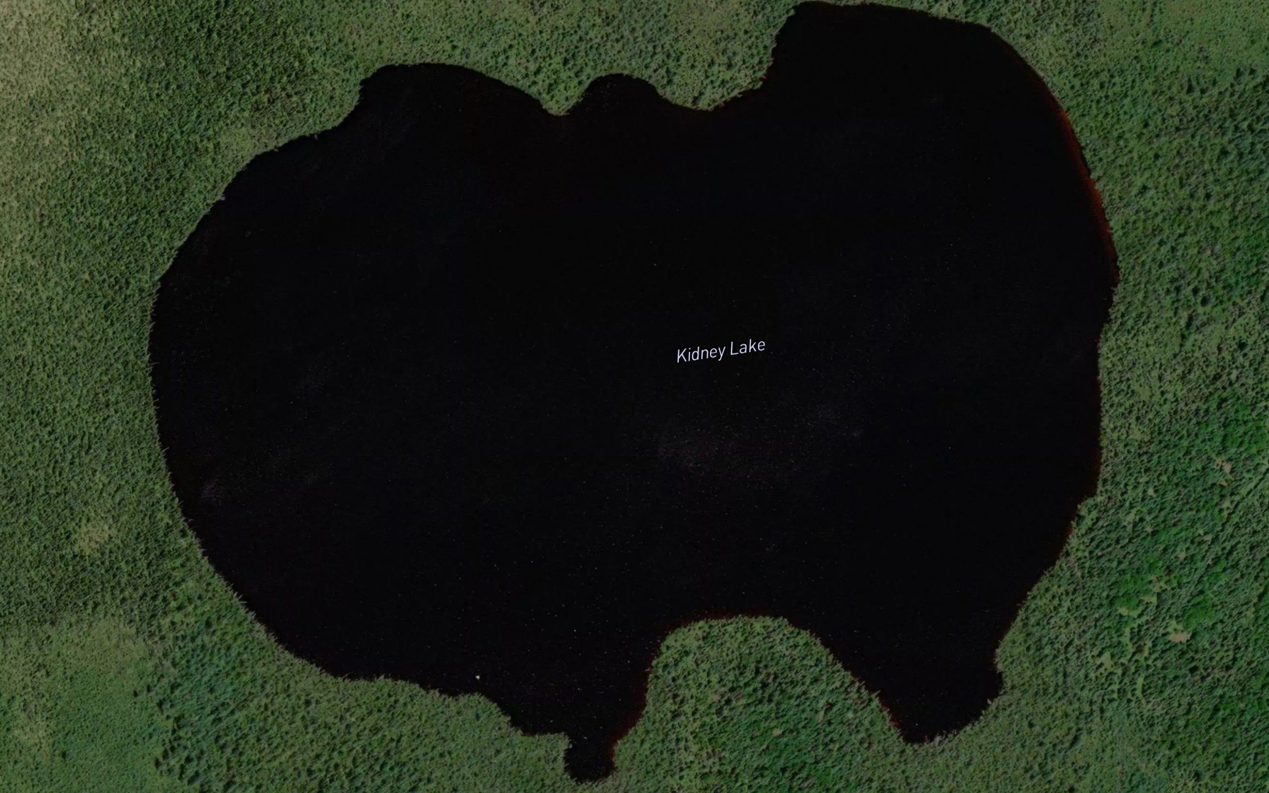 Kidney Lake