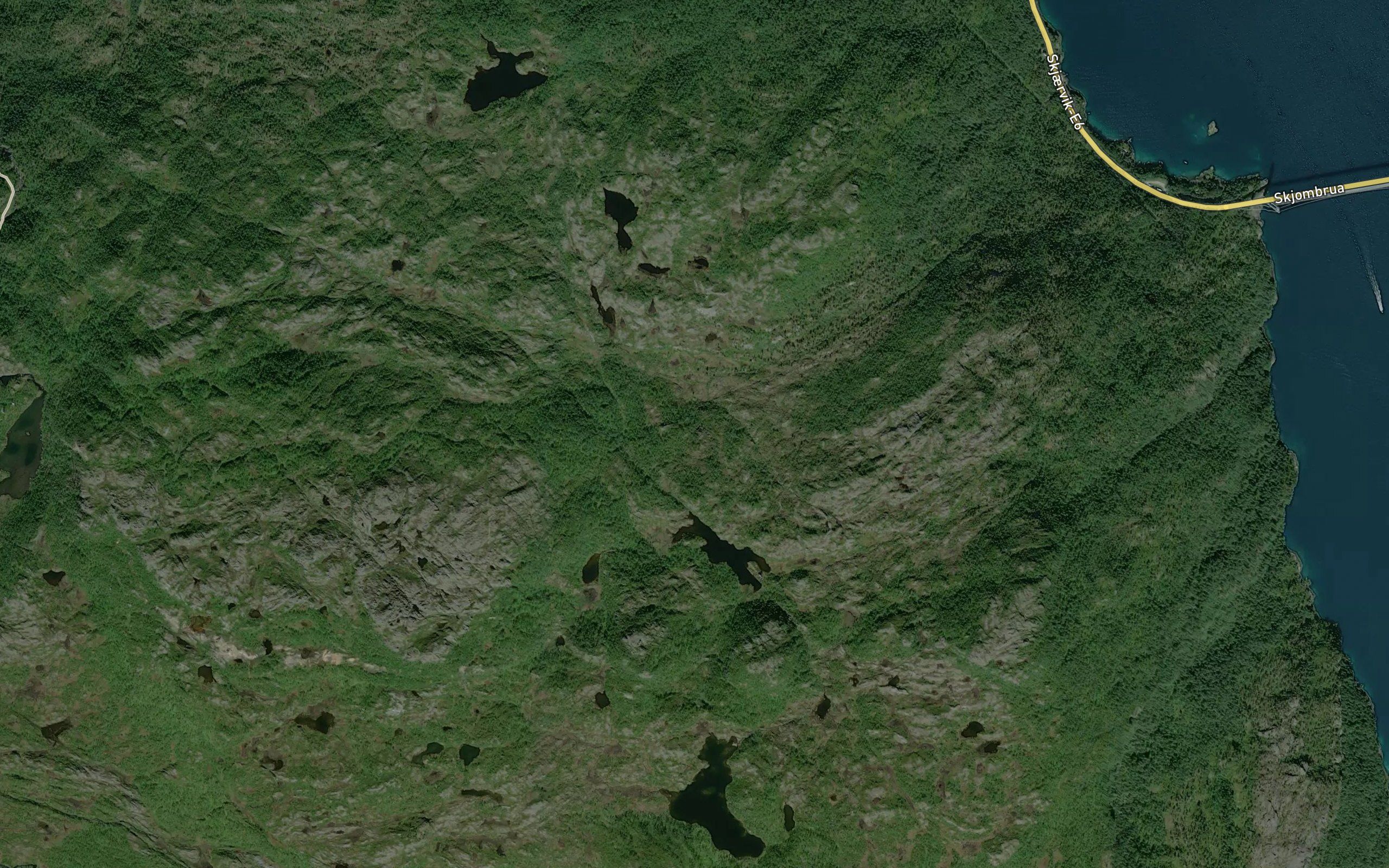 Skjervikelva