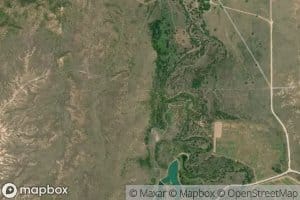 White Deer Springs