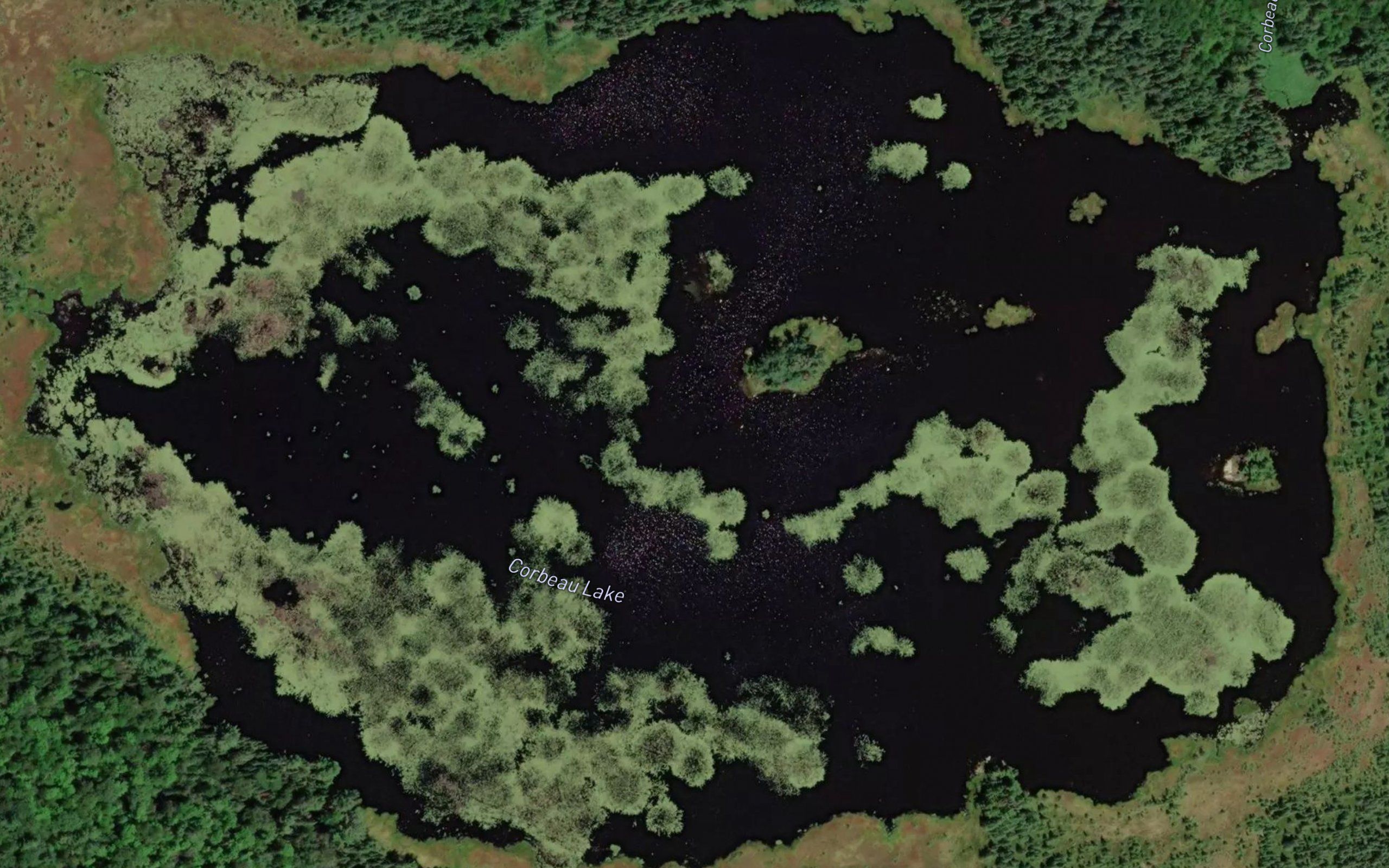 Corbeau Lake