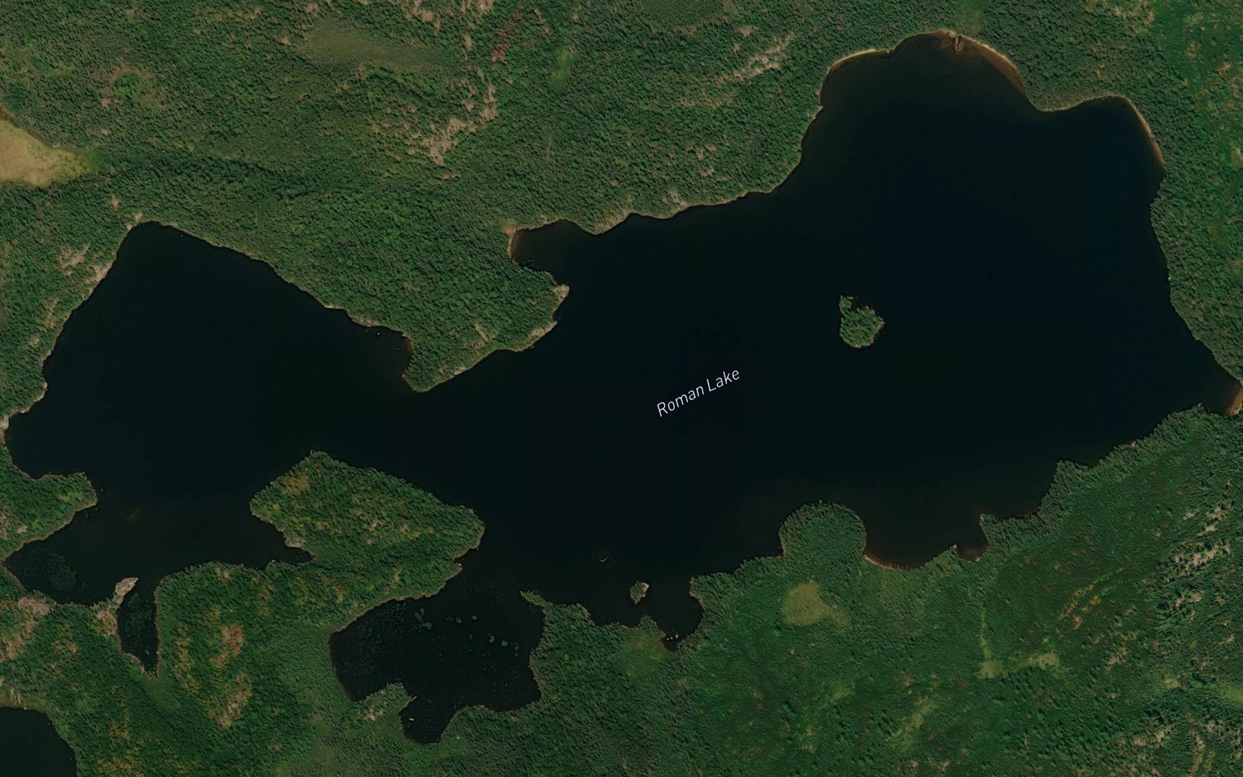Satellite map of the Roman Lake