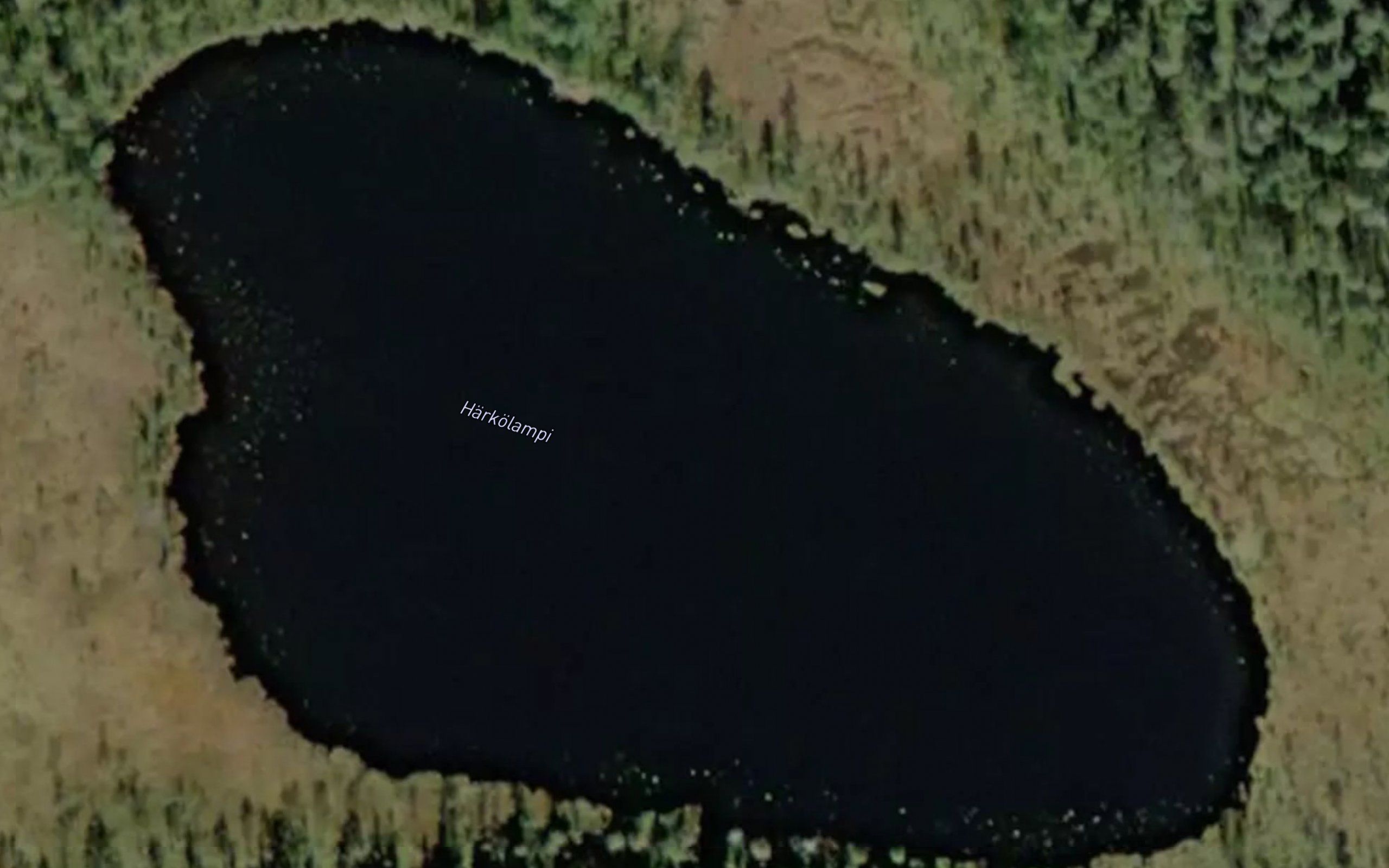 Harkolampi