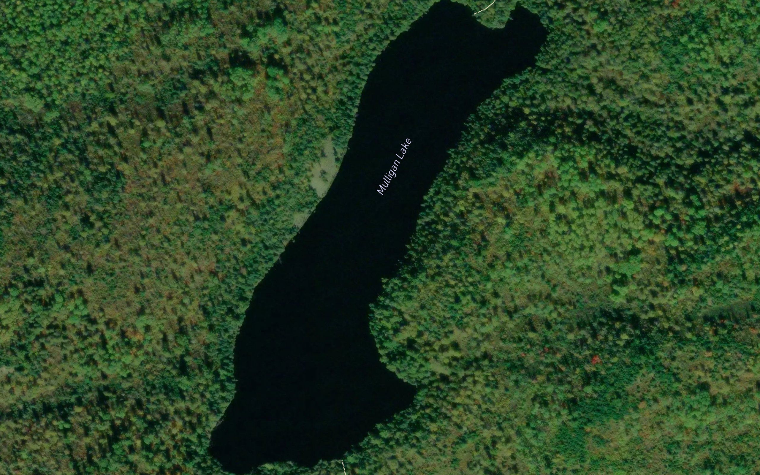 Mulligan Lake