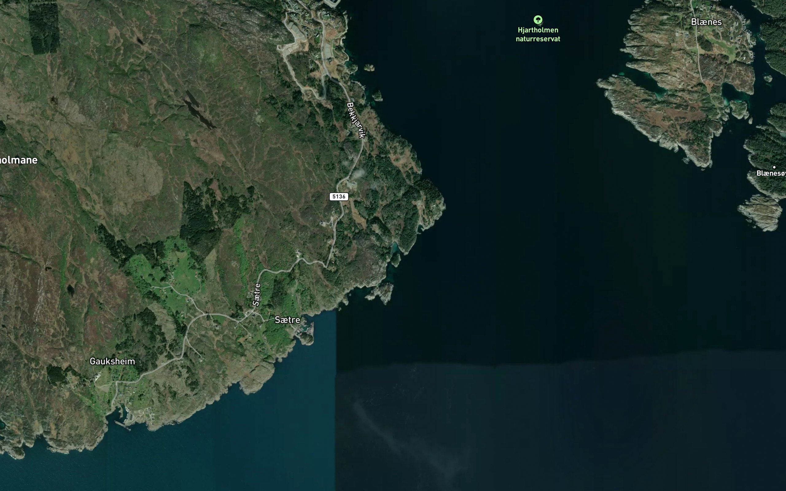 Valesvika