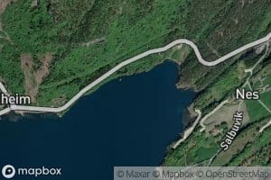Nesvika