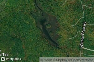 Beaver Pond