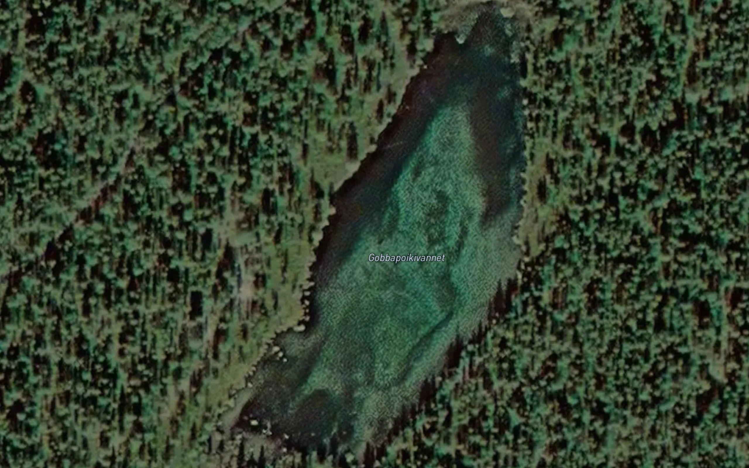 Gobbapoikivannet