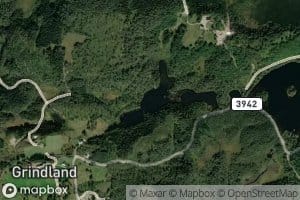 Dasvann
