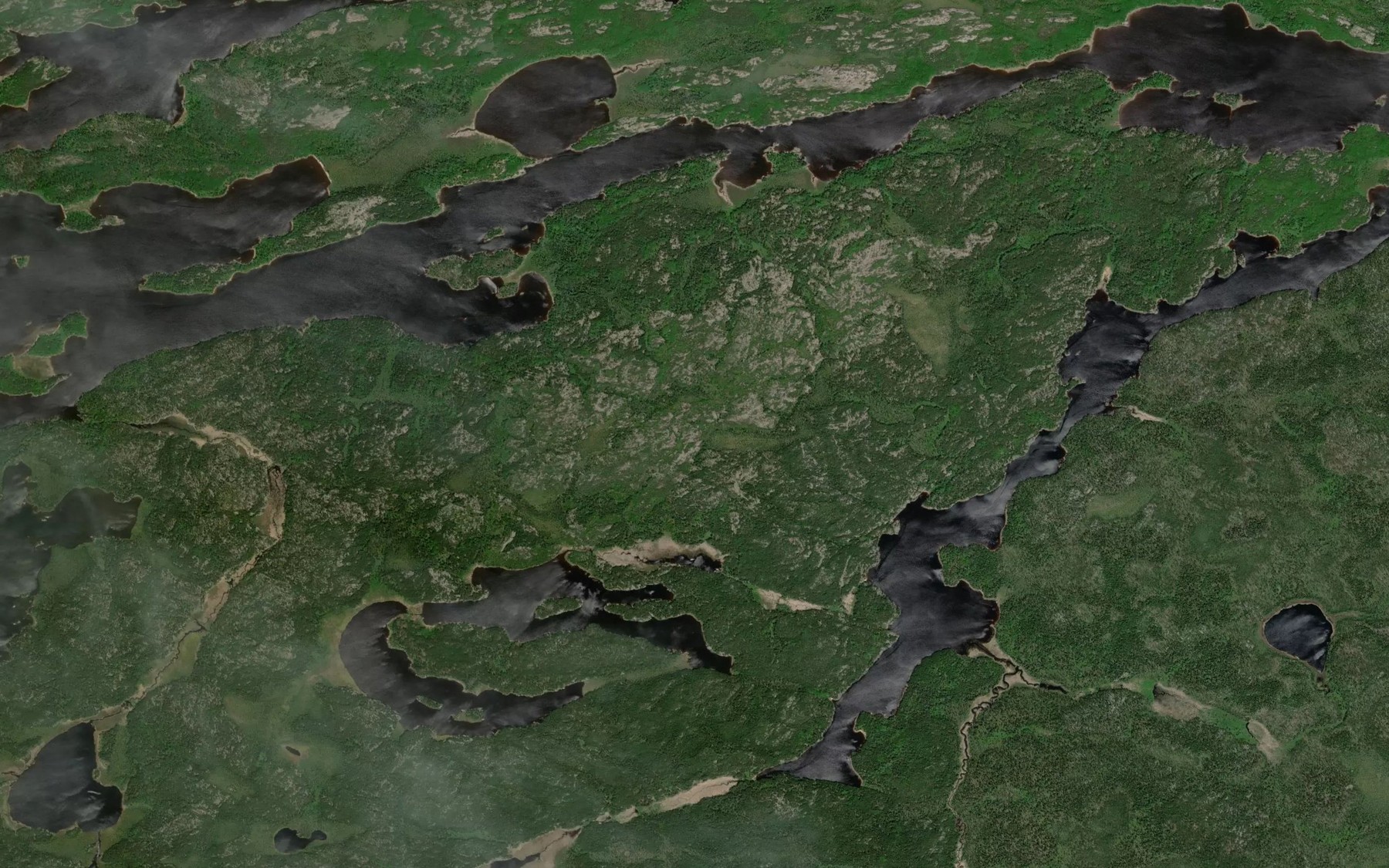Satellite map of the Margot Lake