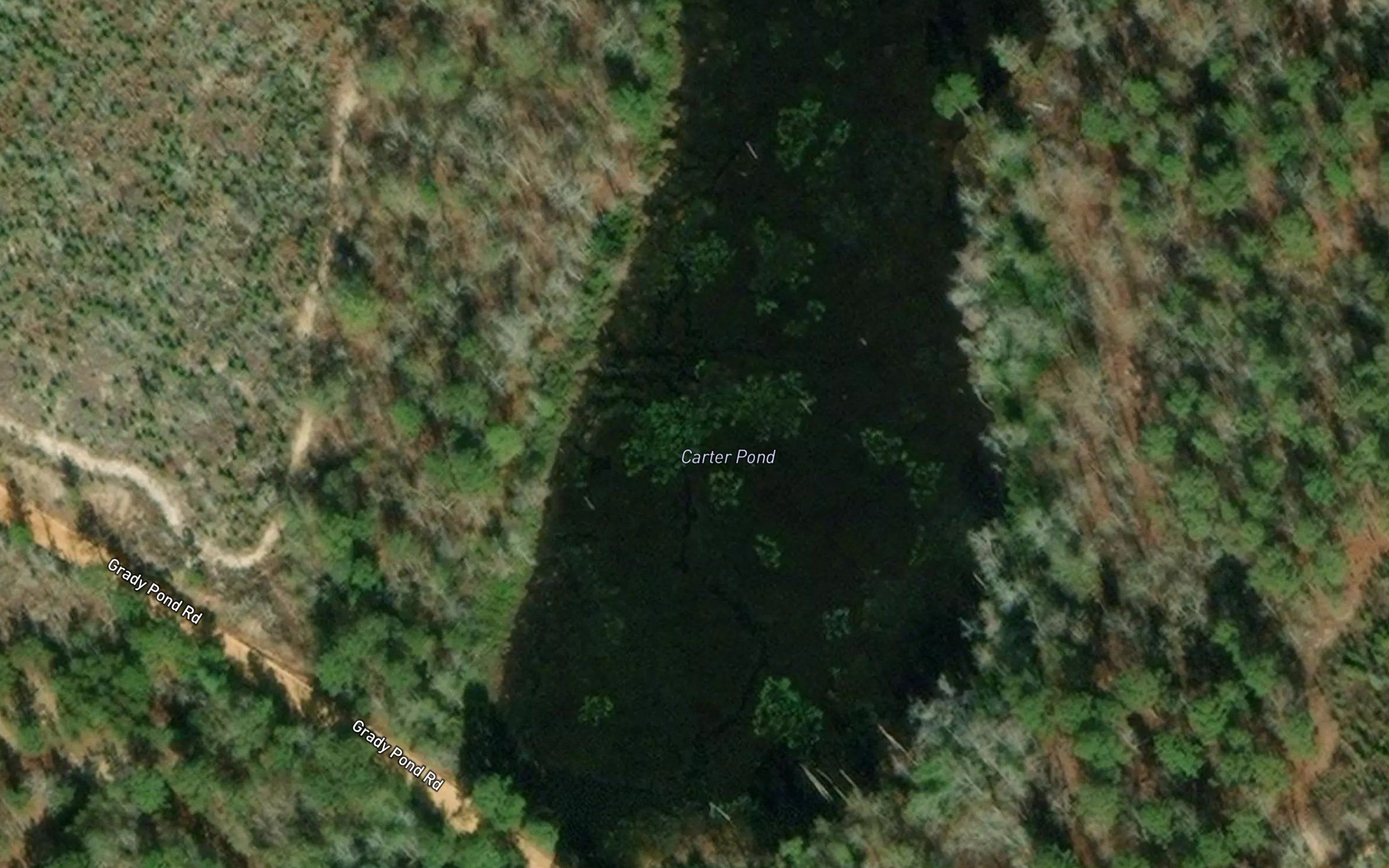 Carter Pond