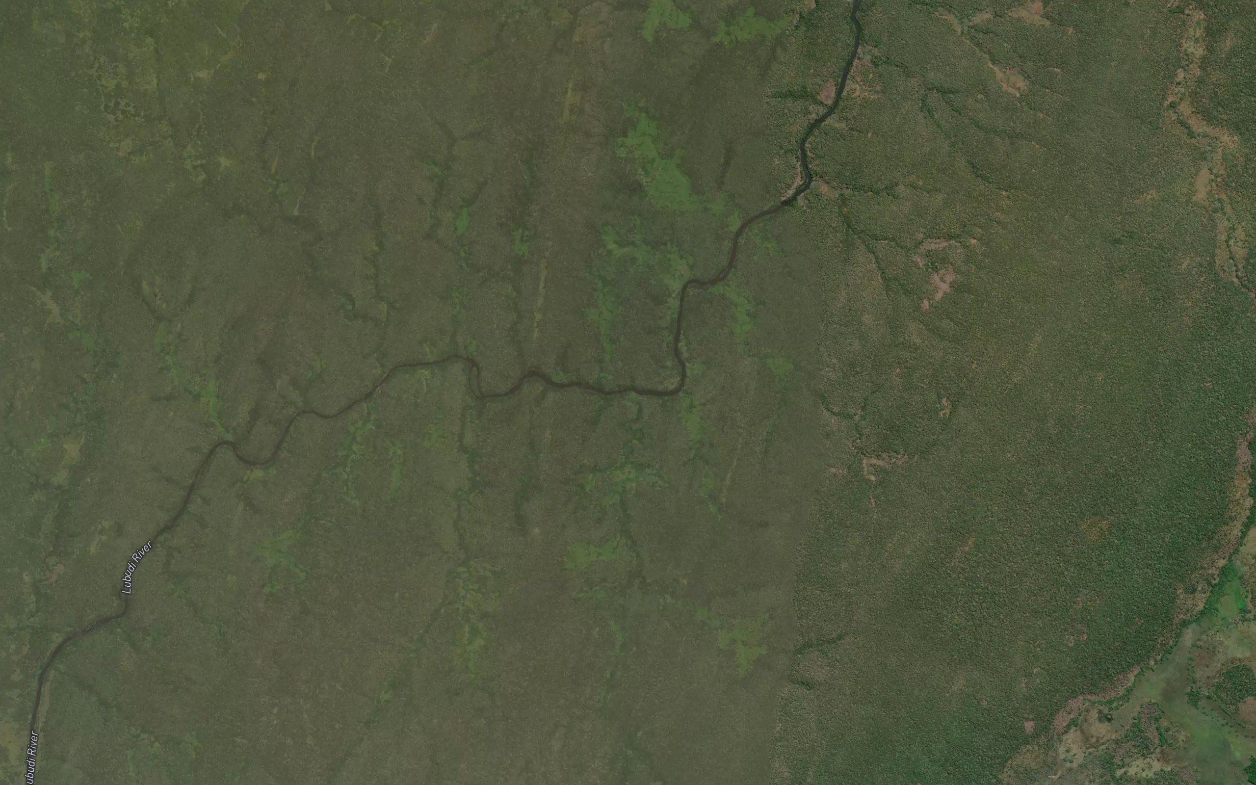 Kakodji