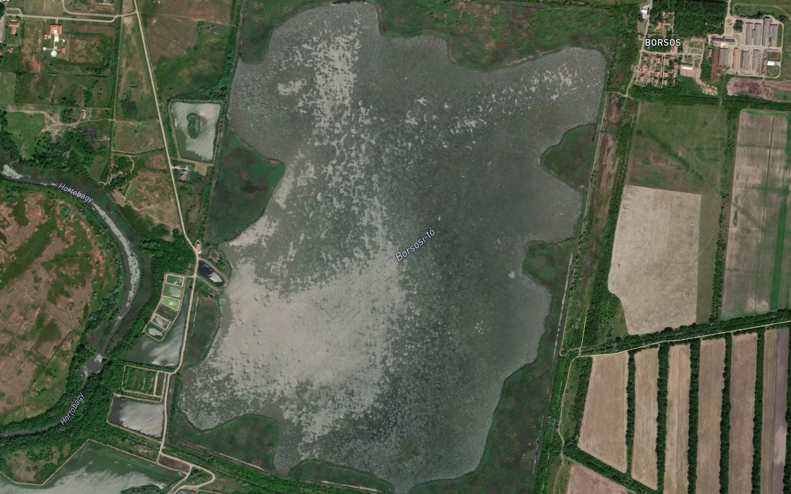 Hortobagyi Viztarolo