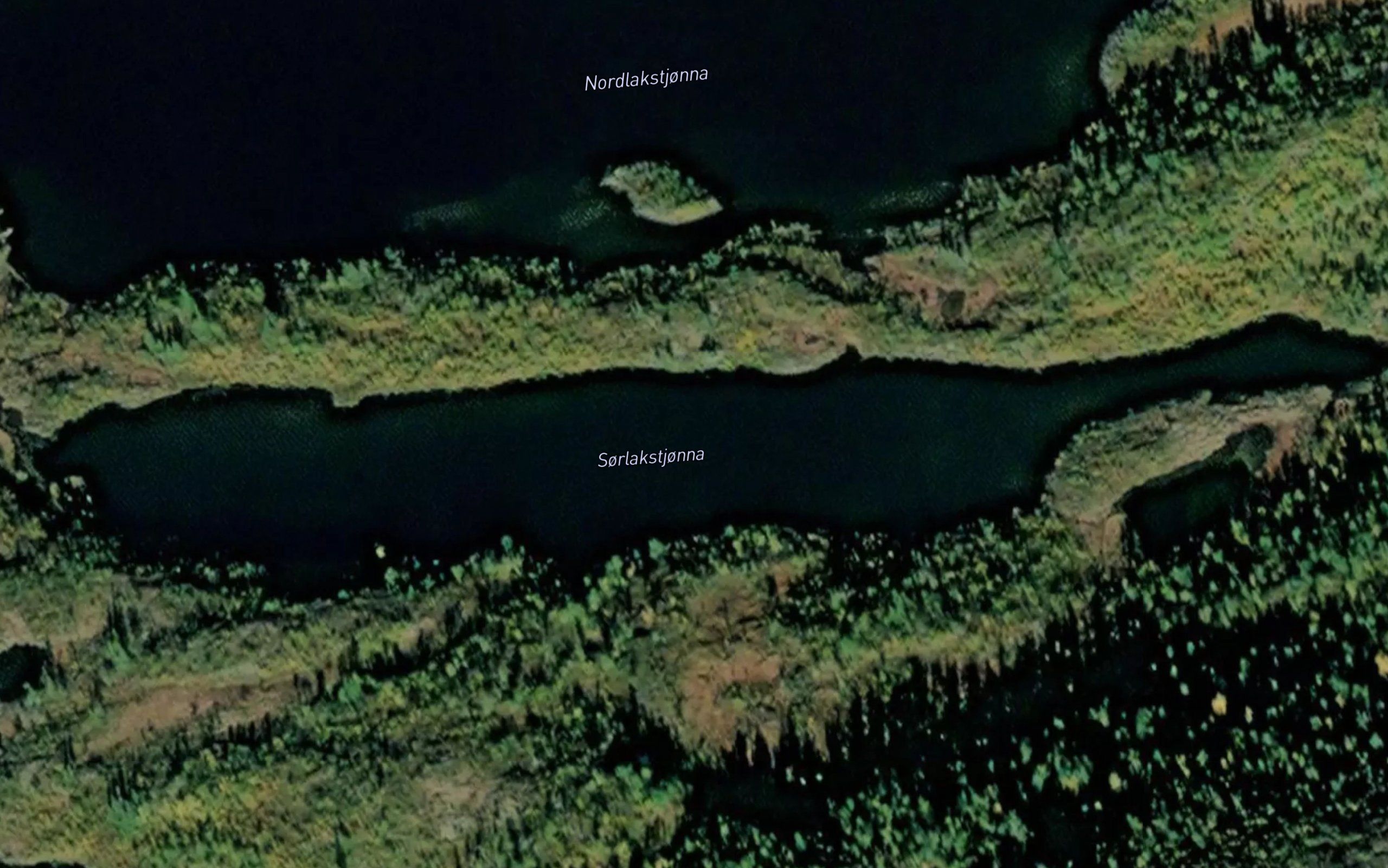 Laksetjornin,s
