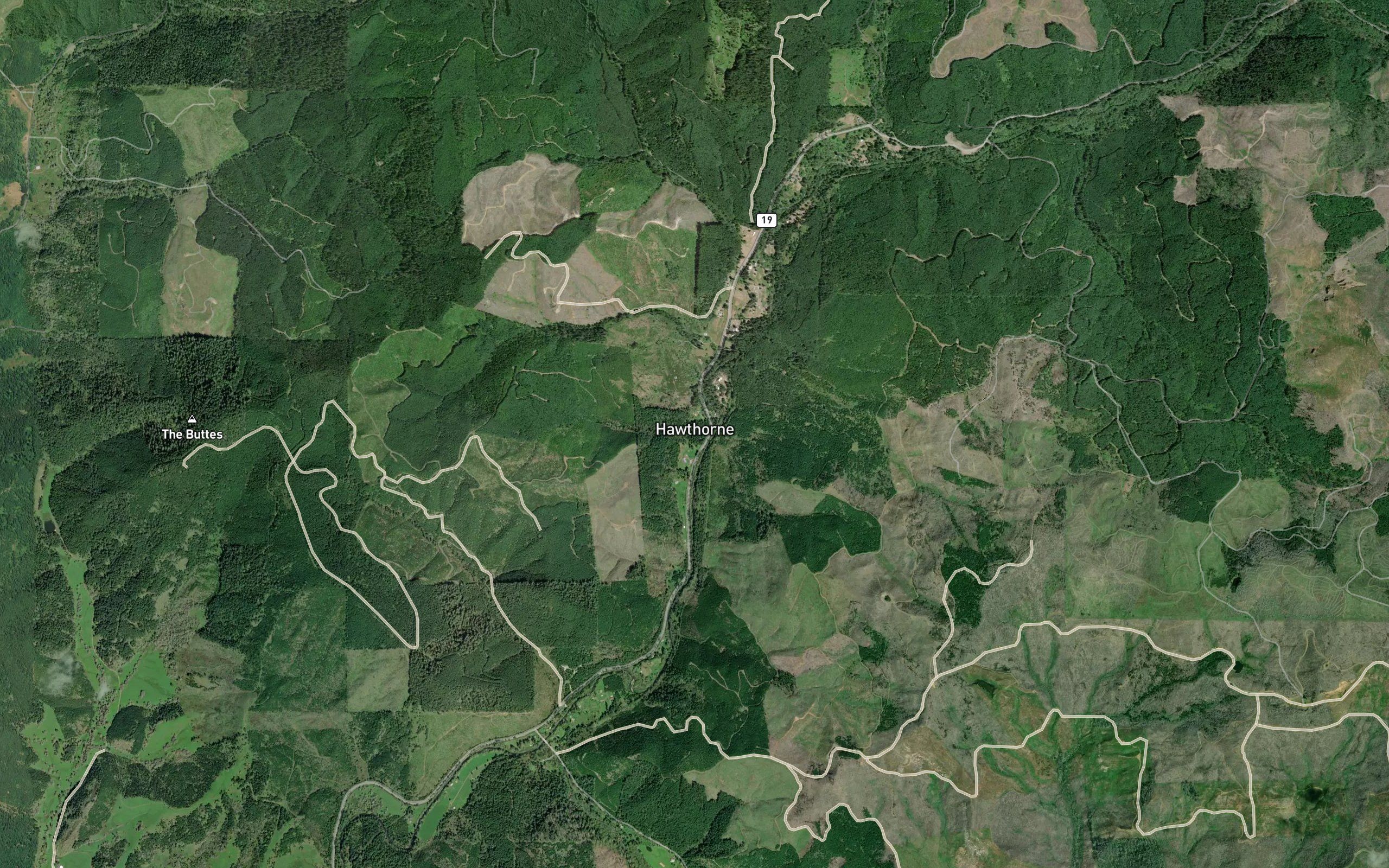 Cooper Creek