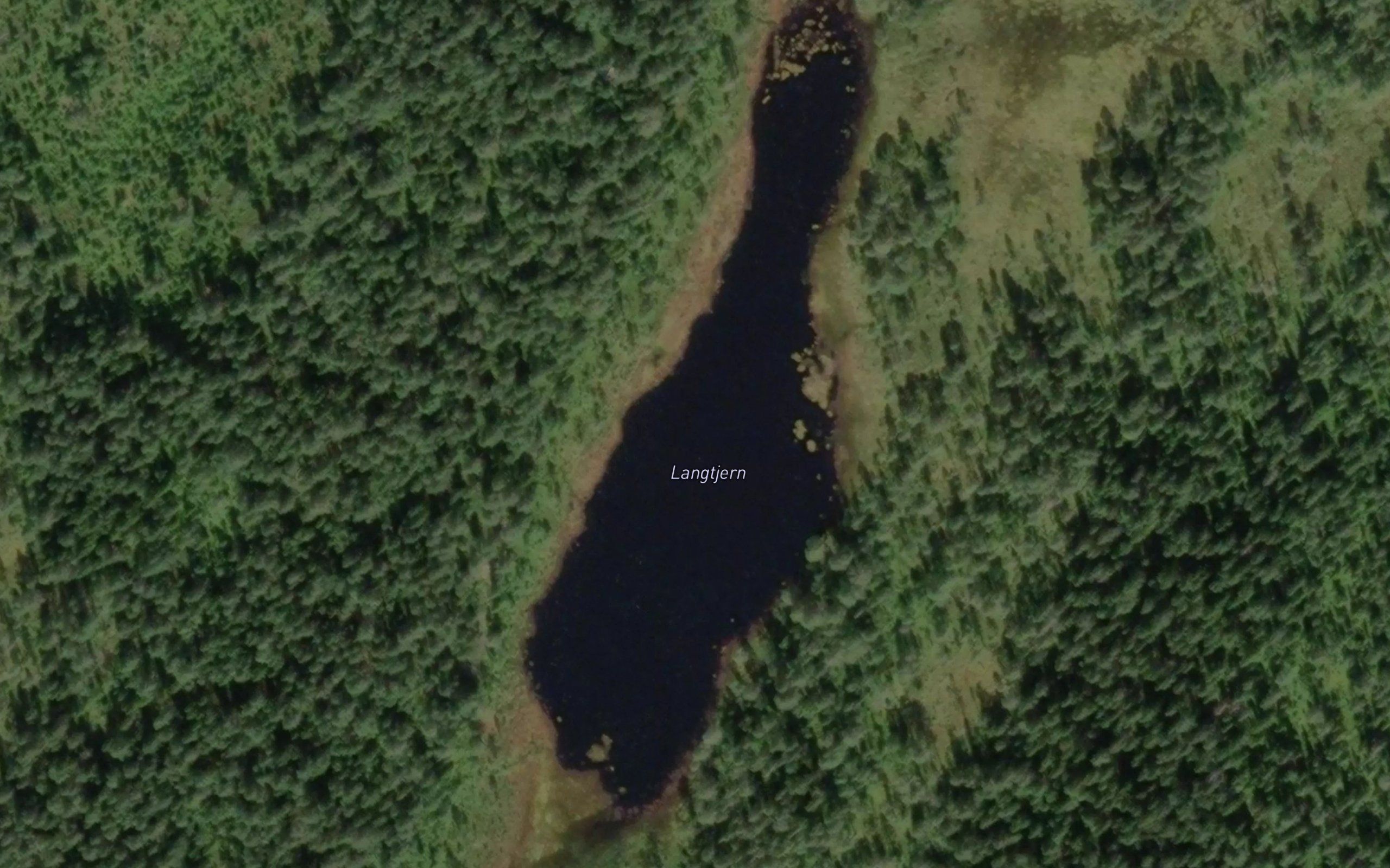 Langtjern