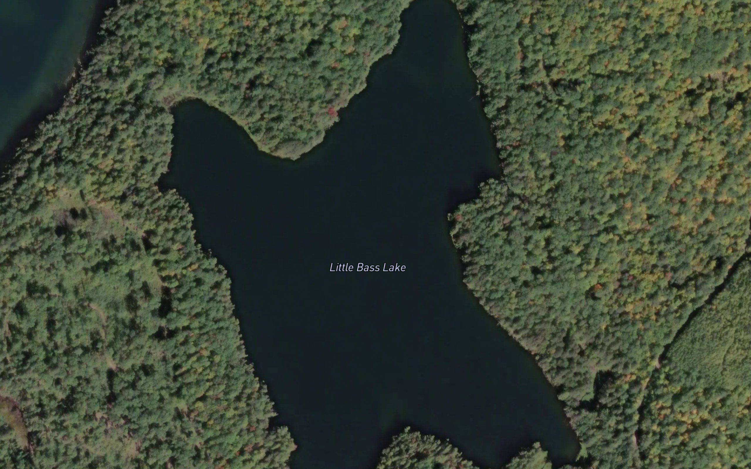 Little Bass Lake