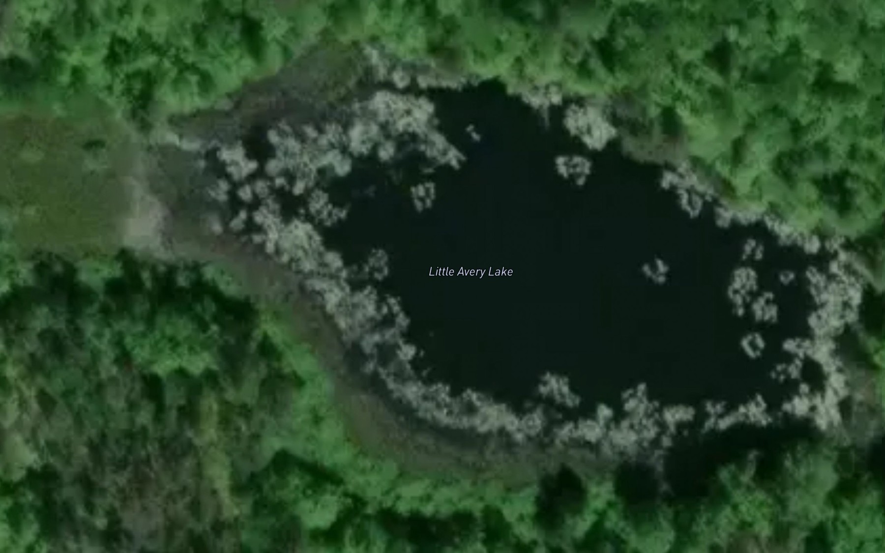Satellite map of the Little Avery Lake