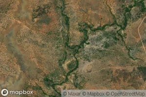 Morichal Mundo Nuevo