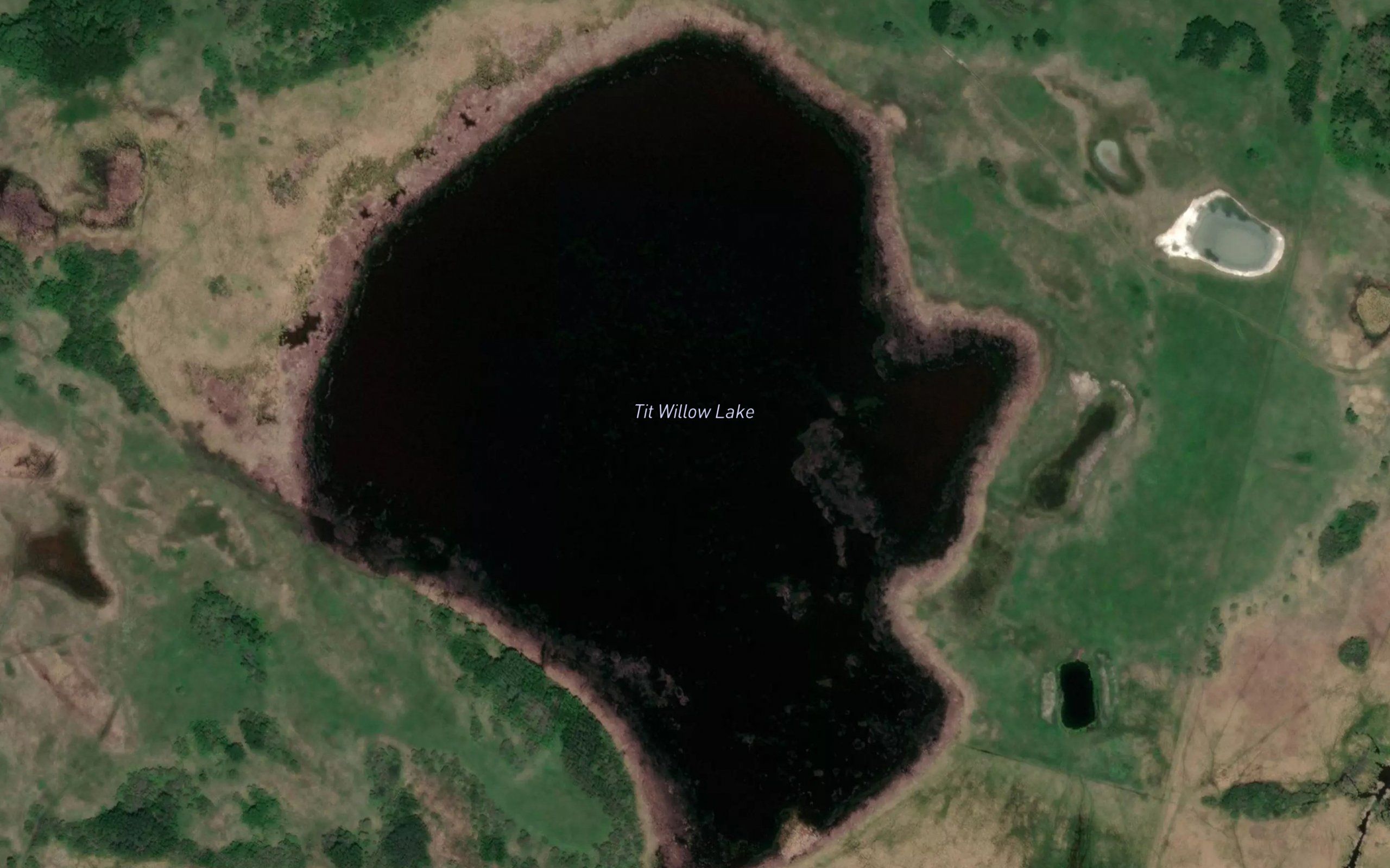 Tit Willow Lake