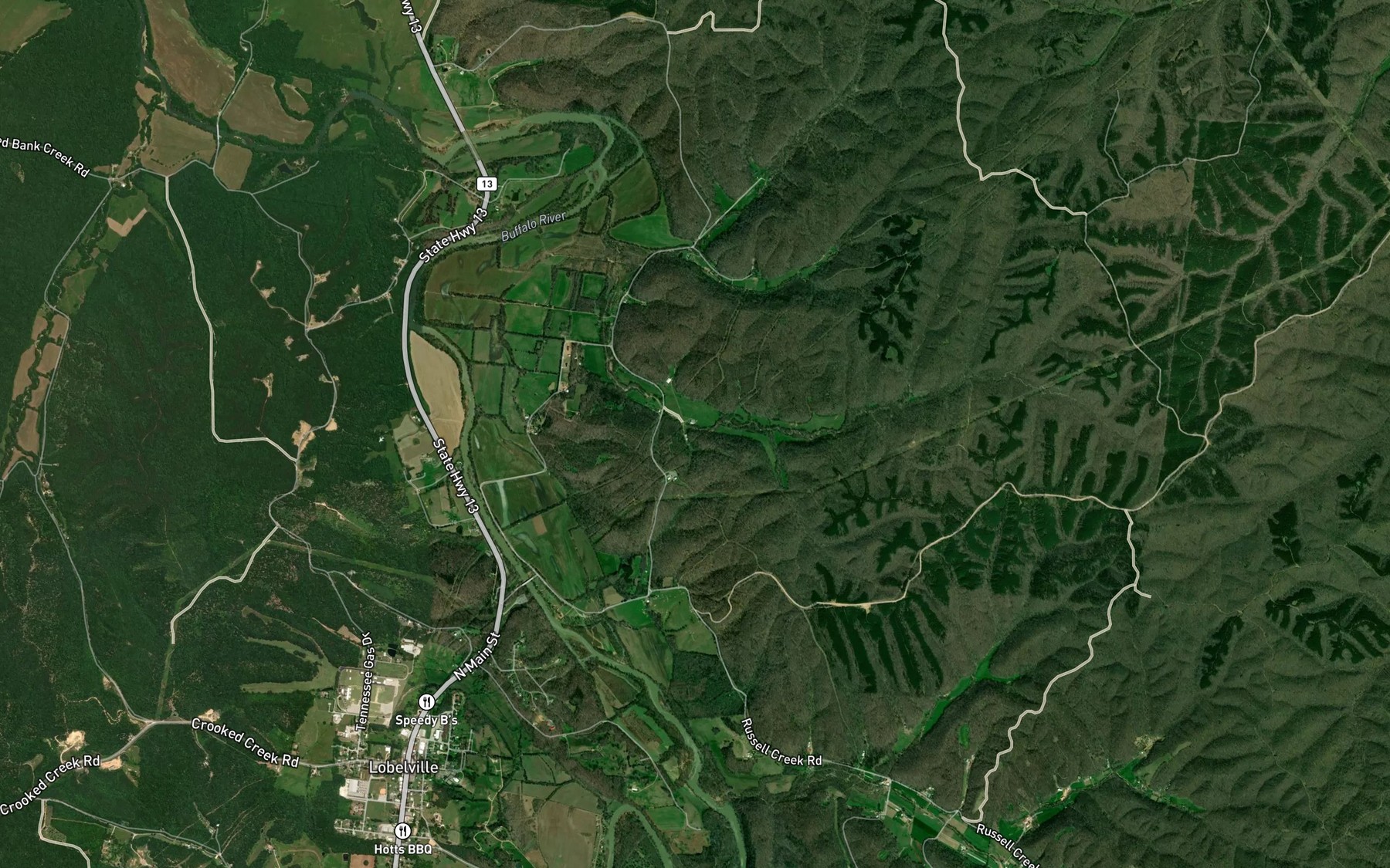 Satellite map of the Mossy Spring