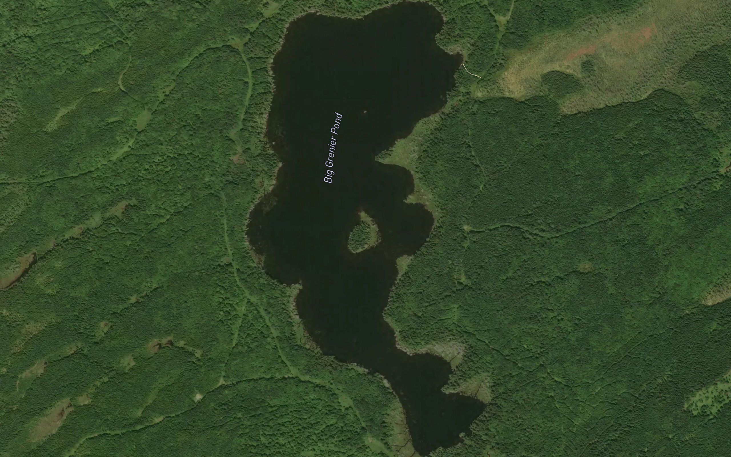 Big Grenier Pond