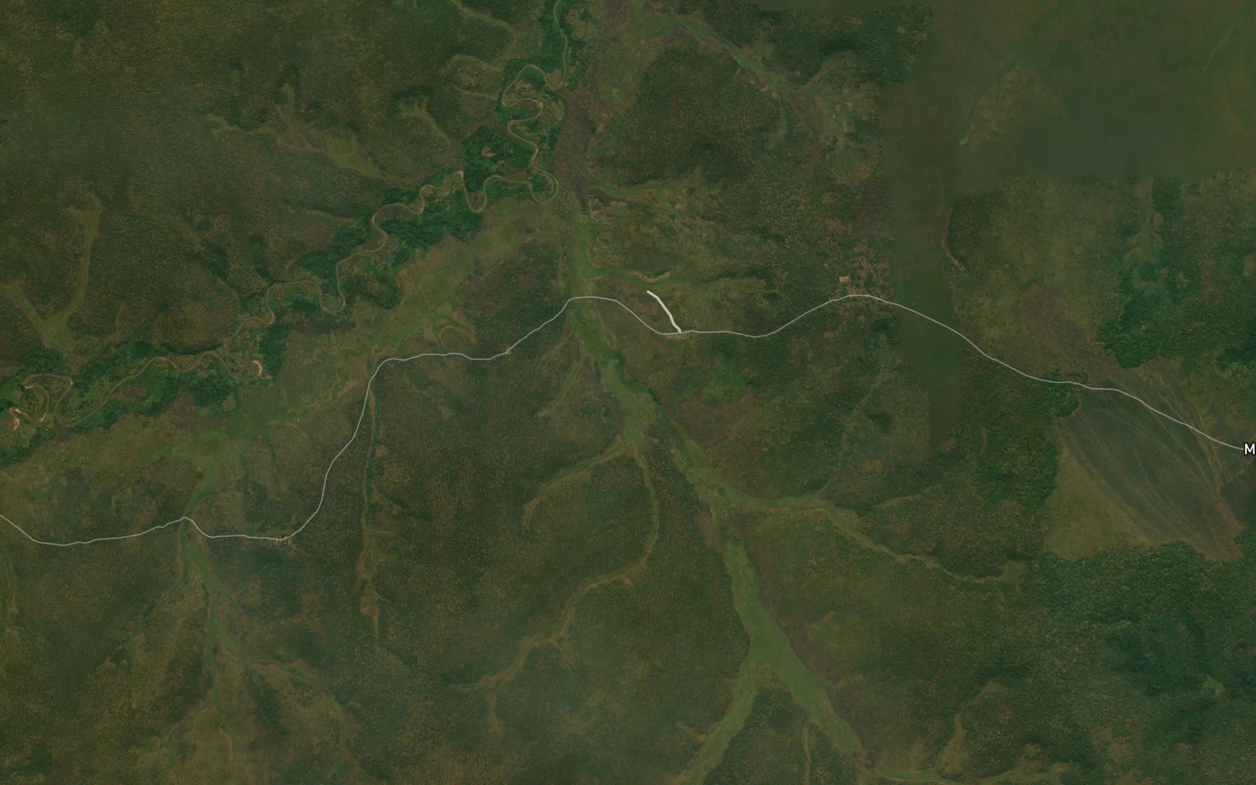 Quindamba