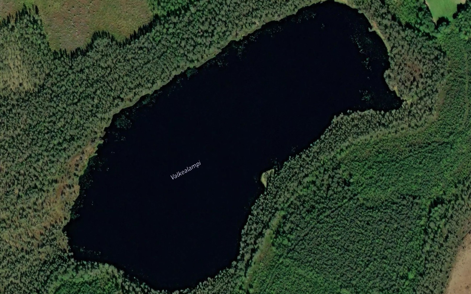 Satellite map of the Valkealampi