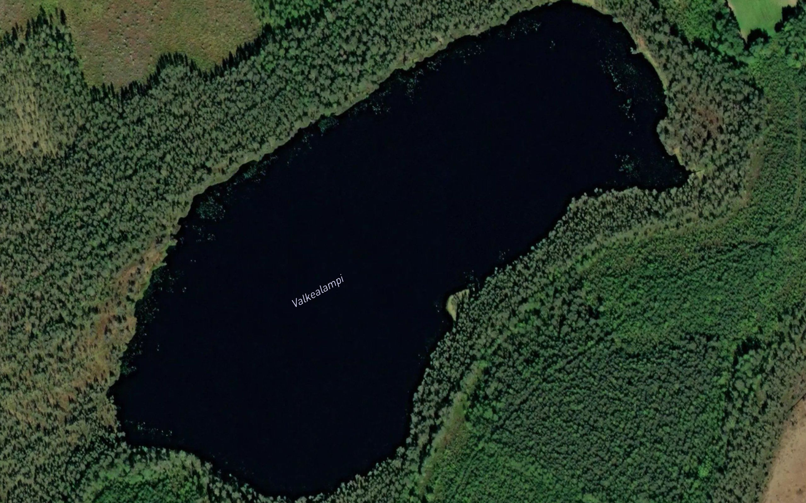 Valkealampi