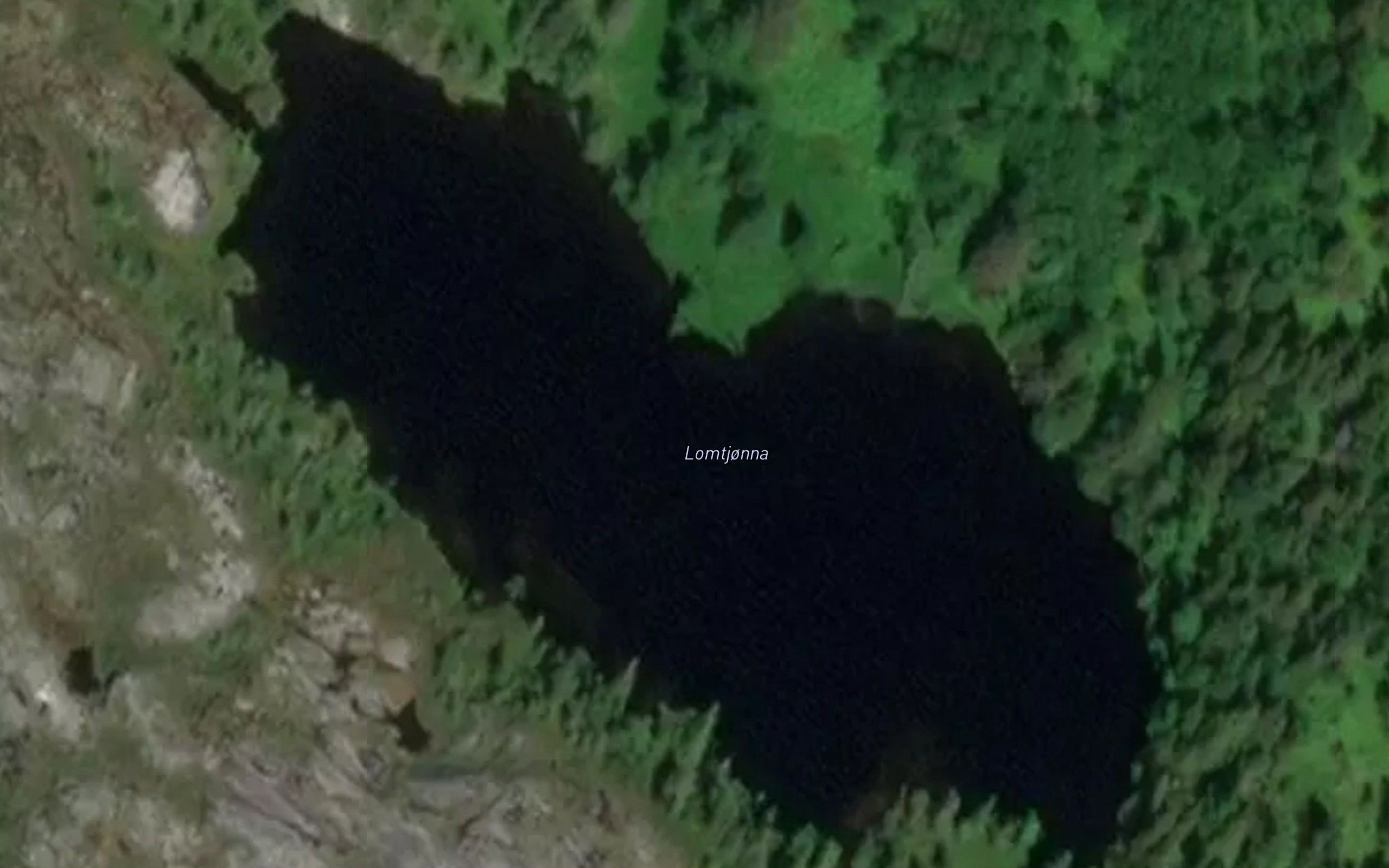 Lomtjonna