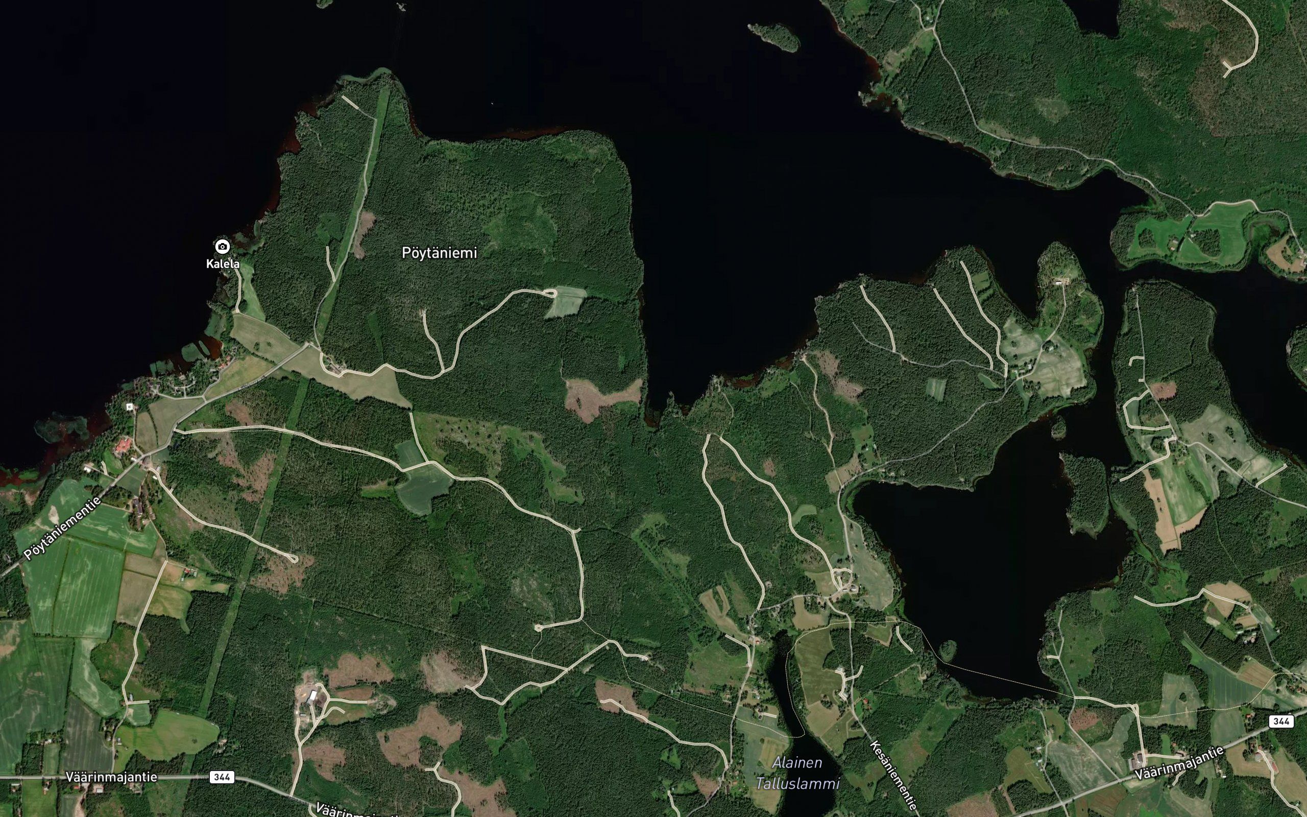 Virkasenlahti