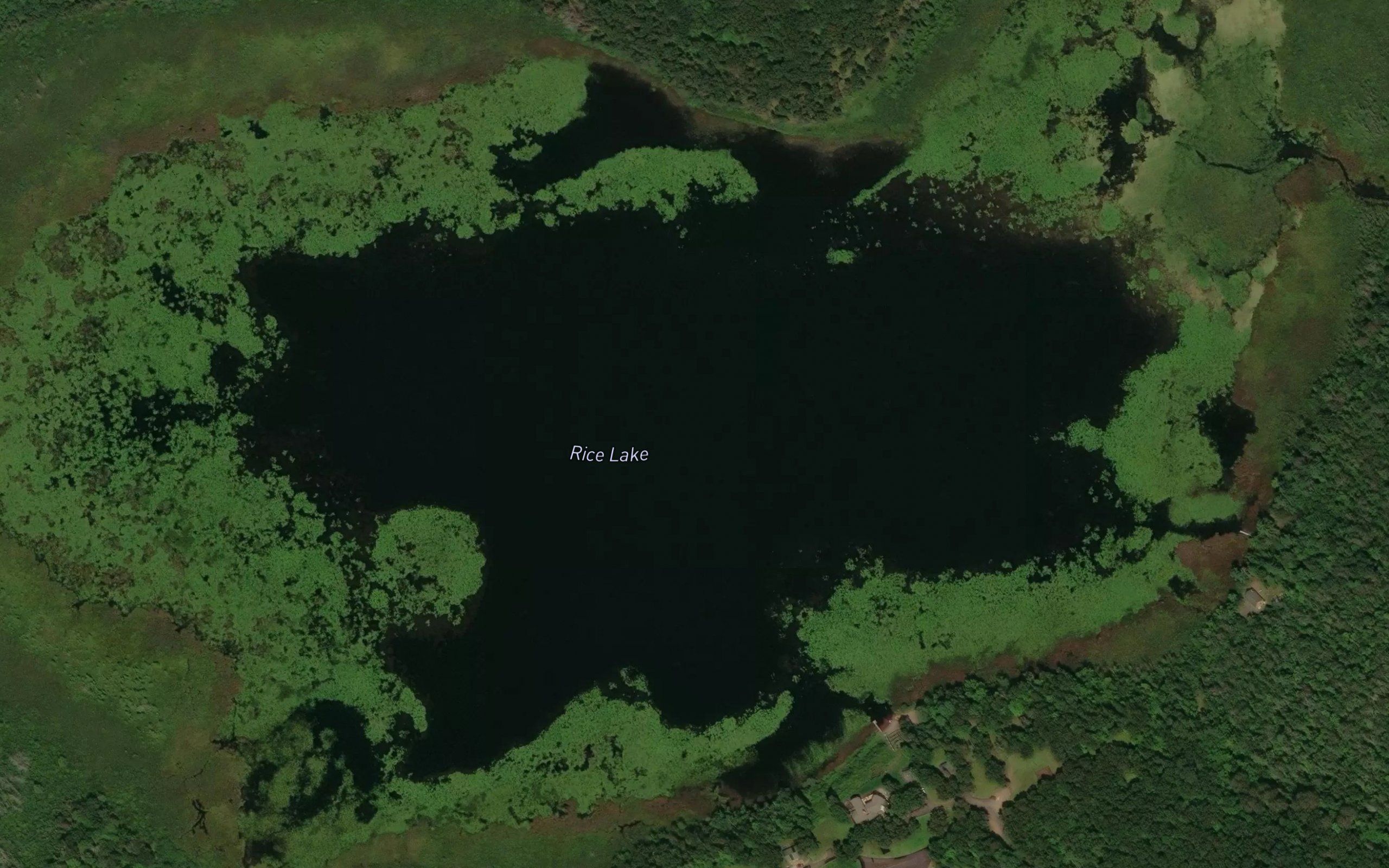 Rice Lake
