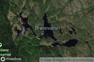 Gronevatnet