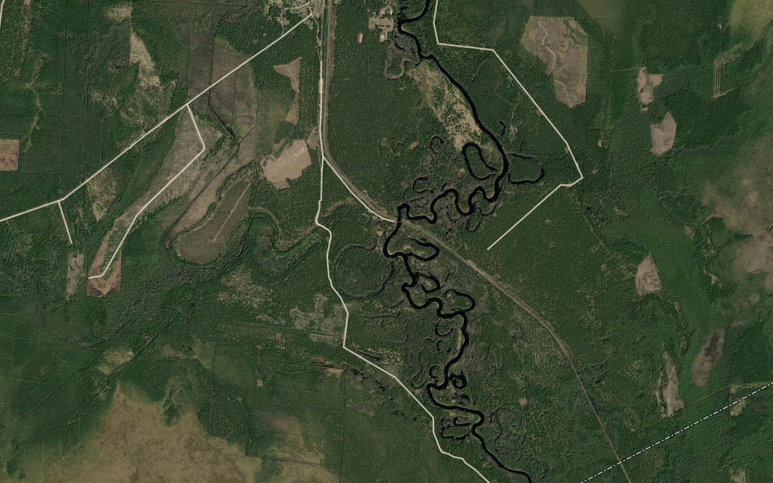 Belaya