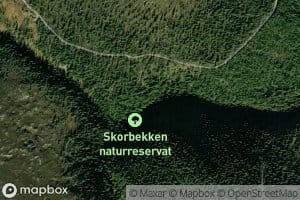 Skorbekken