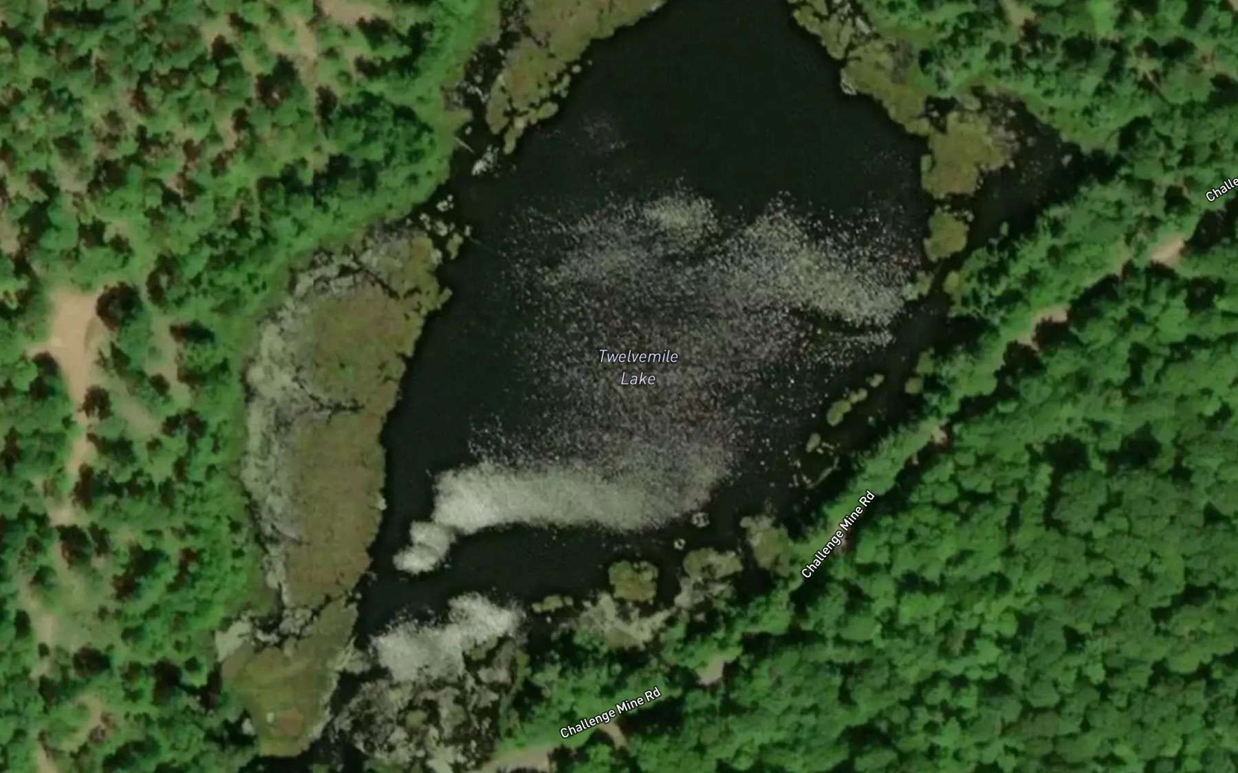 Satellite map of the Twelvemile Lake