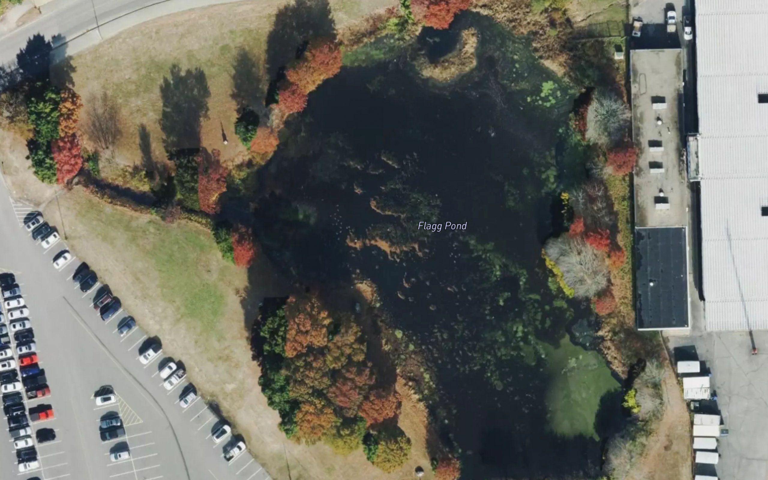 Flagg Pond