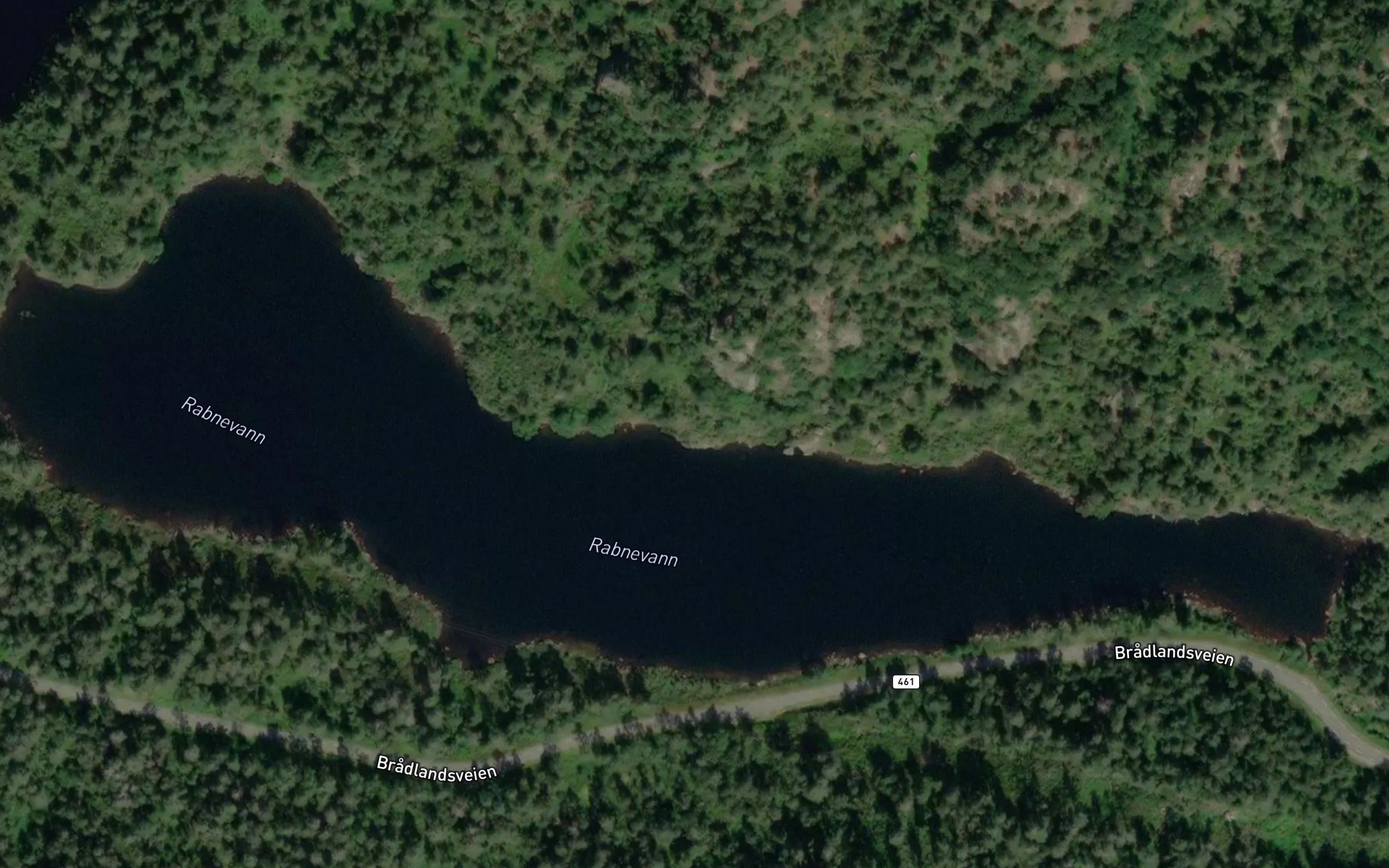 Rabnevann