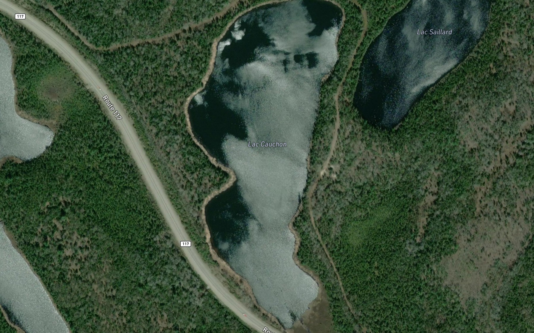 Satellite map of the Lac Cauchon