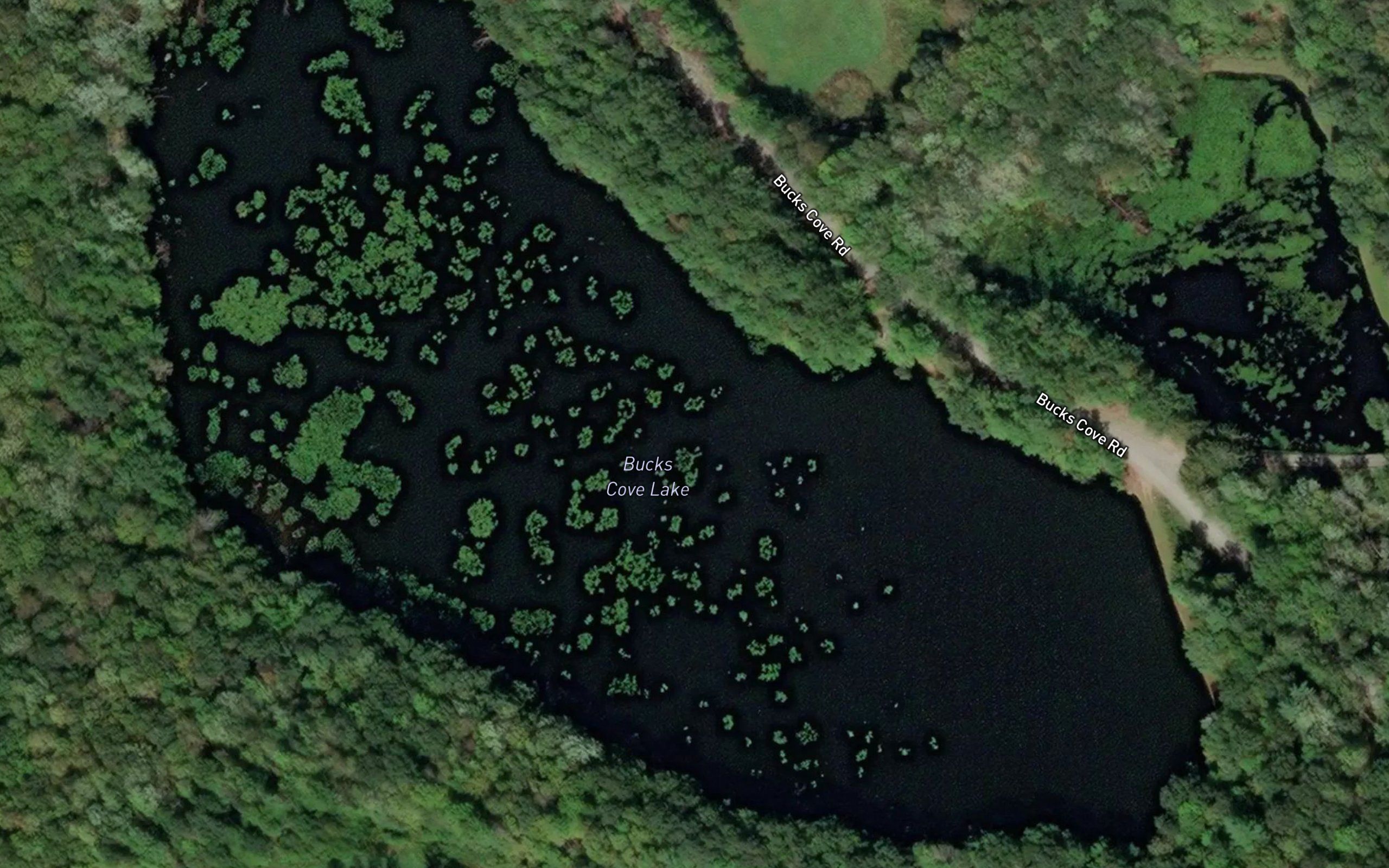 Bucks Cove Lake
