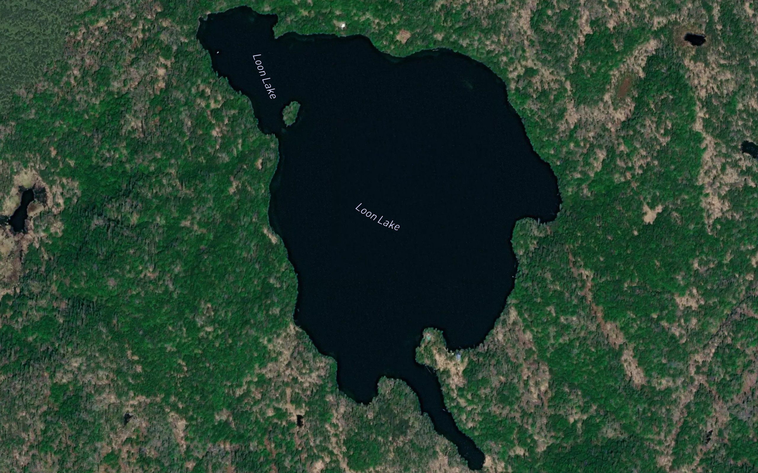 Loon Lake