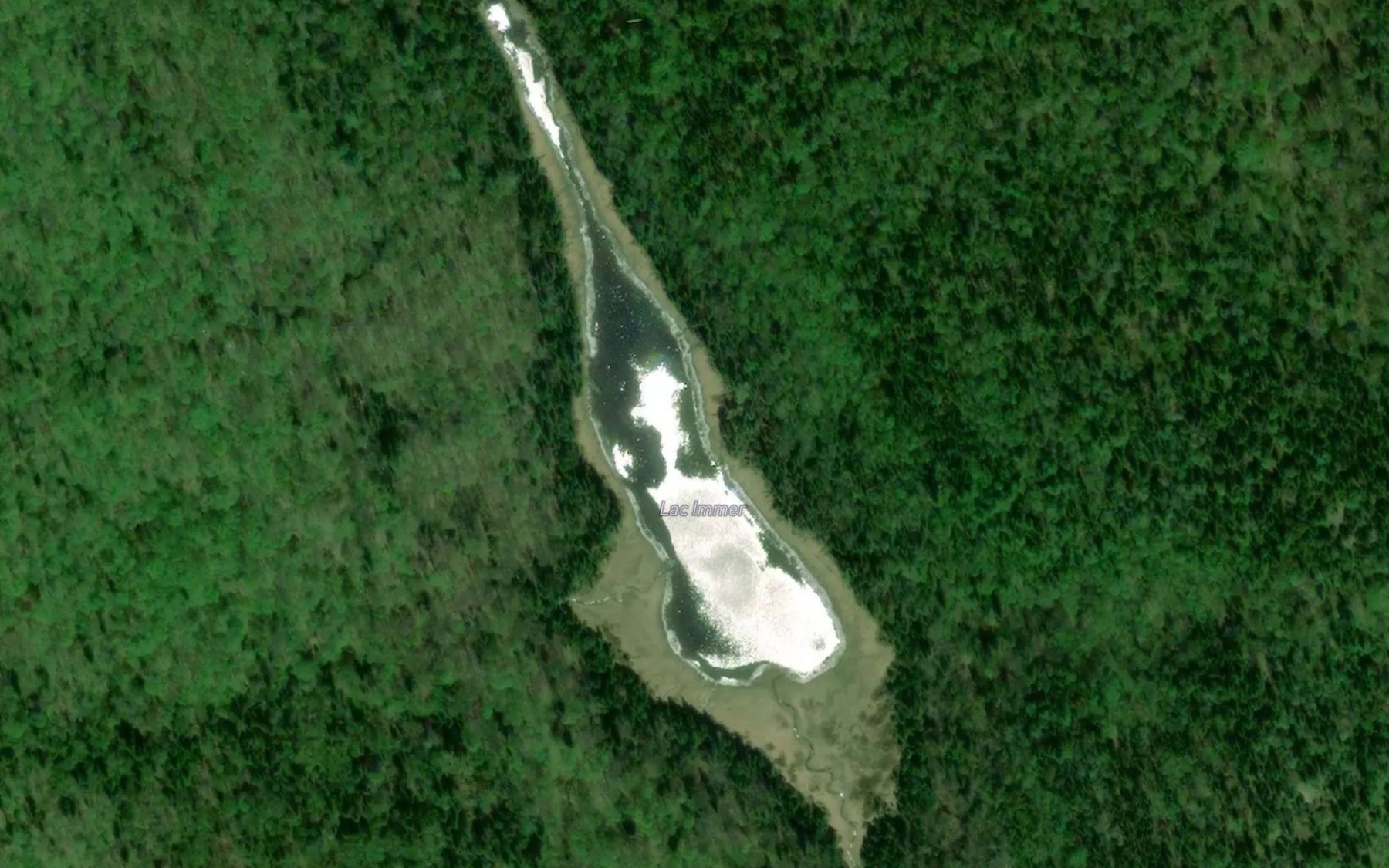 Satellite map of the Lac Immer
