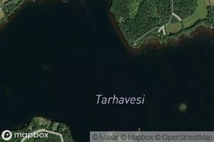 Tarhavesi